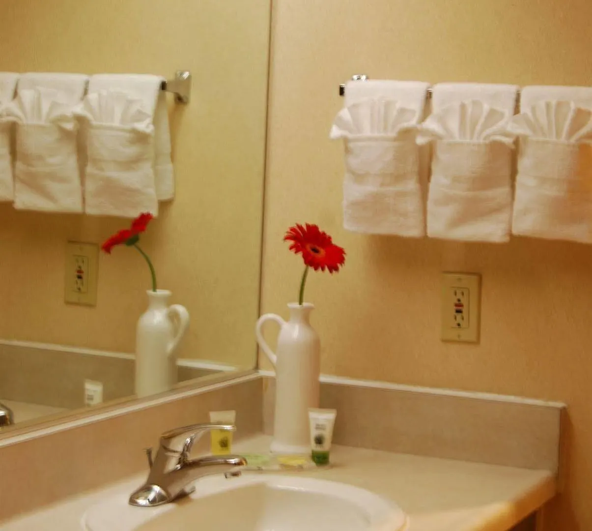 Inn At The Convention Center Portland 2*,  United States